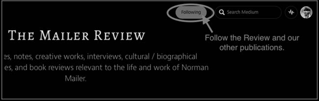 Figure 1: Follow any publications you like. This is the same as subscribing, and you can have daily updates delivered to your inbox.