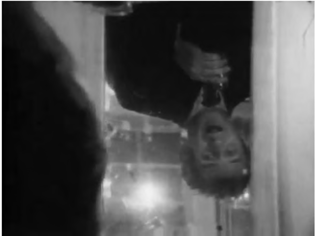 Film Still #1: Mailer beholds a drunken Mailer, mirror realism
