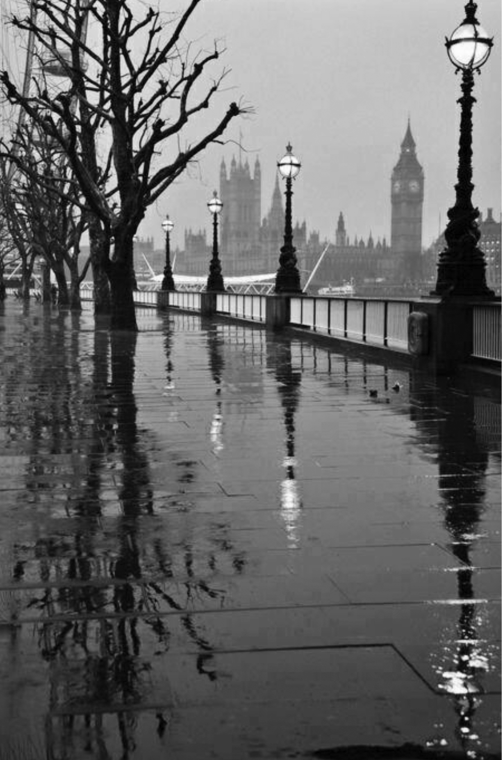 A rainy riverside walk lined with bare trees, the Houses of Parliament and Big Ben in the distance